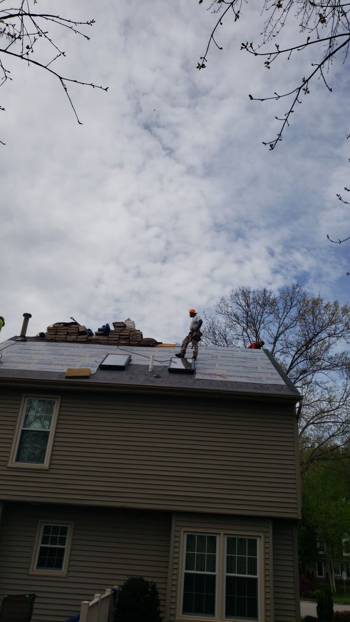 Springfield Certainteed Landmark Pro Designer Shingles by RM Banning, Inc.