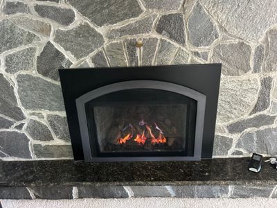Mendota Gas Insert
