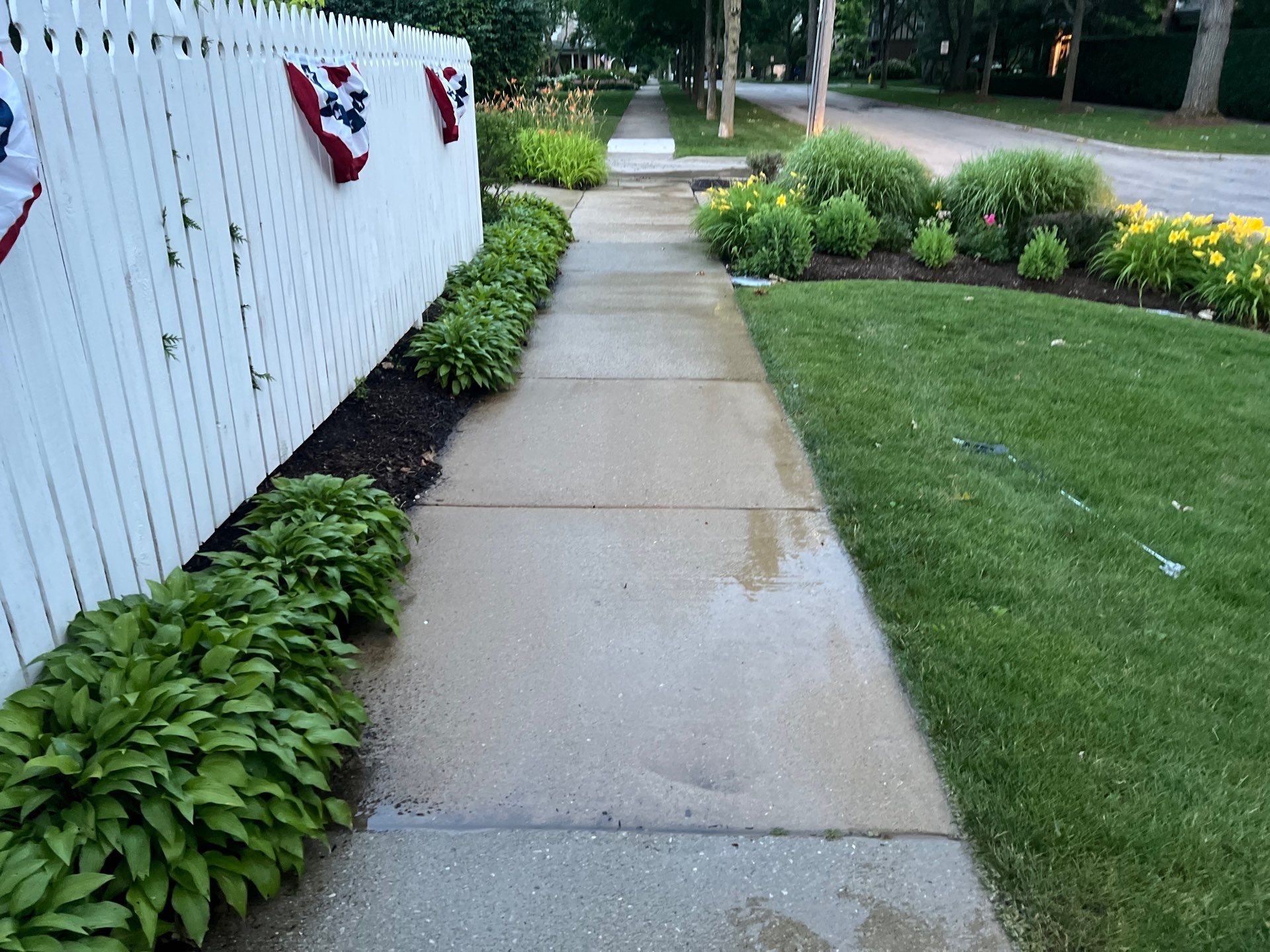 concrete cleaning using Algaecide, soft wash soap by Northern Power Washing LLC.