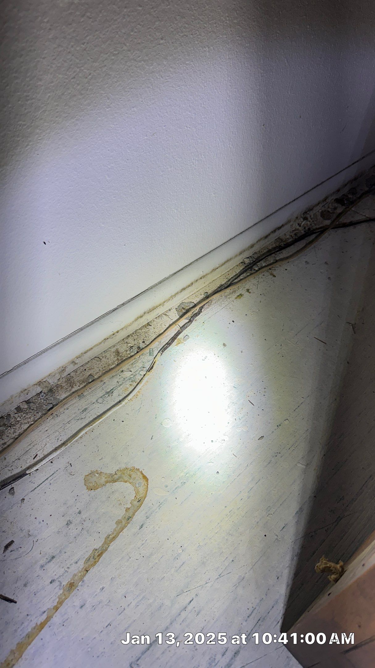 Mold Assessment using IR Camera, Moisture Meter, Air Cassette samples and Tape lifts by Building performance Solutions LLC