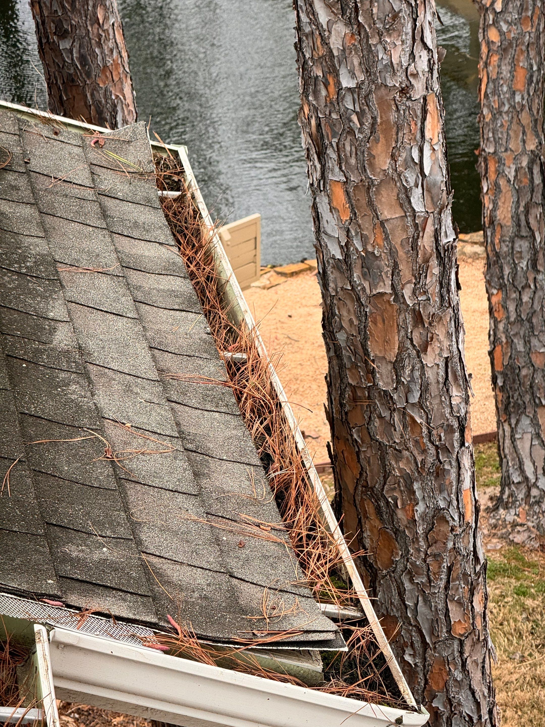 Commercial gutter cleaning The Woodlands & Conroe before photo with filled gutters
