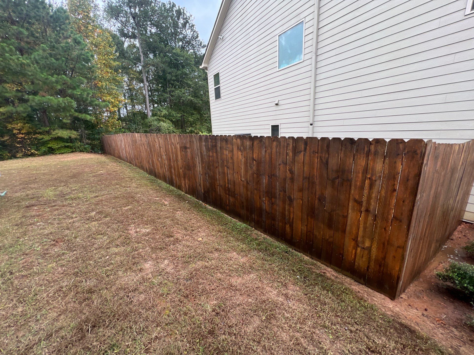 Fence Restoration using Chocolate by SSE by Titans of Timber Fence & Stain