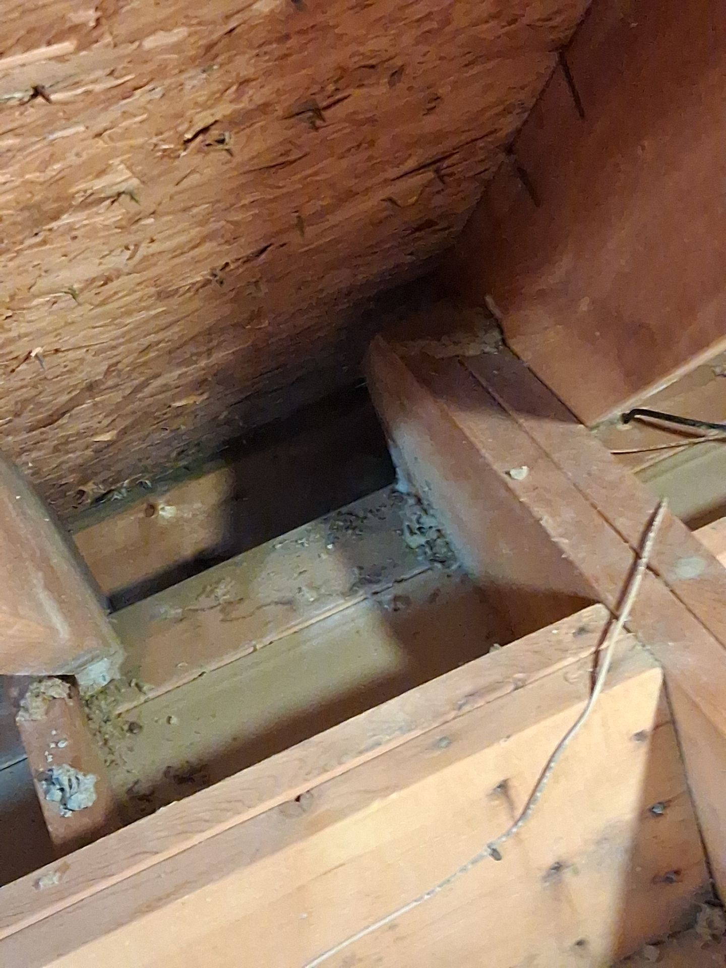 Attic Insulation and Repair by Toledo Basement Repair
