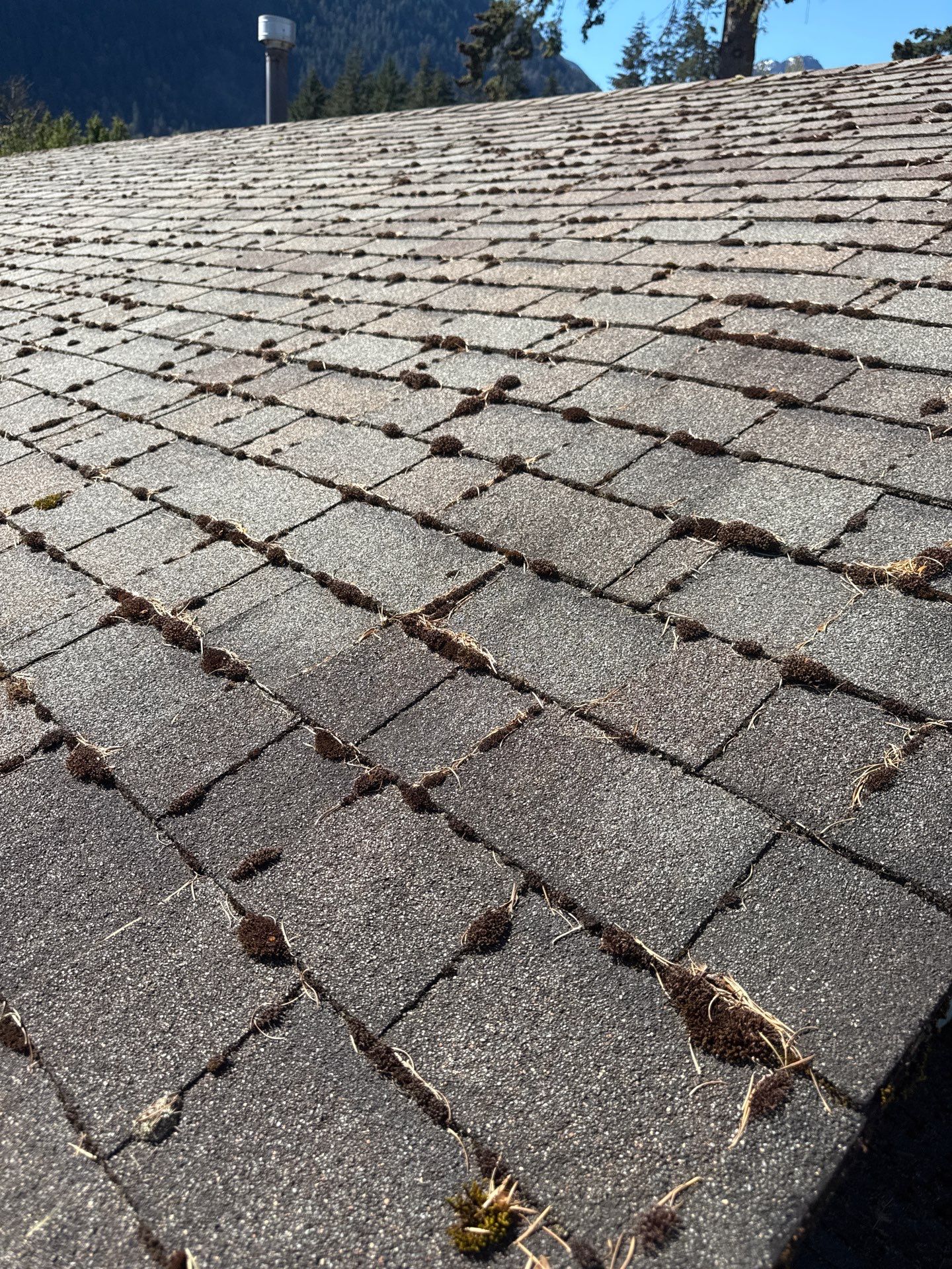 Residential Re-Roof using GAF Timberline HDZ Shakewood by Top Notch Roofing Inc