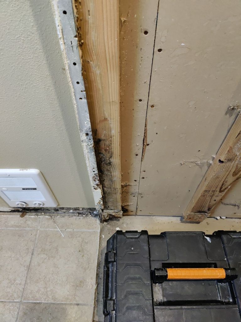 Mold Remediation by Accountable Home Services