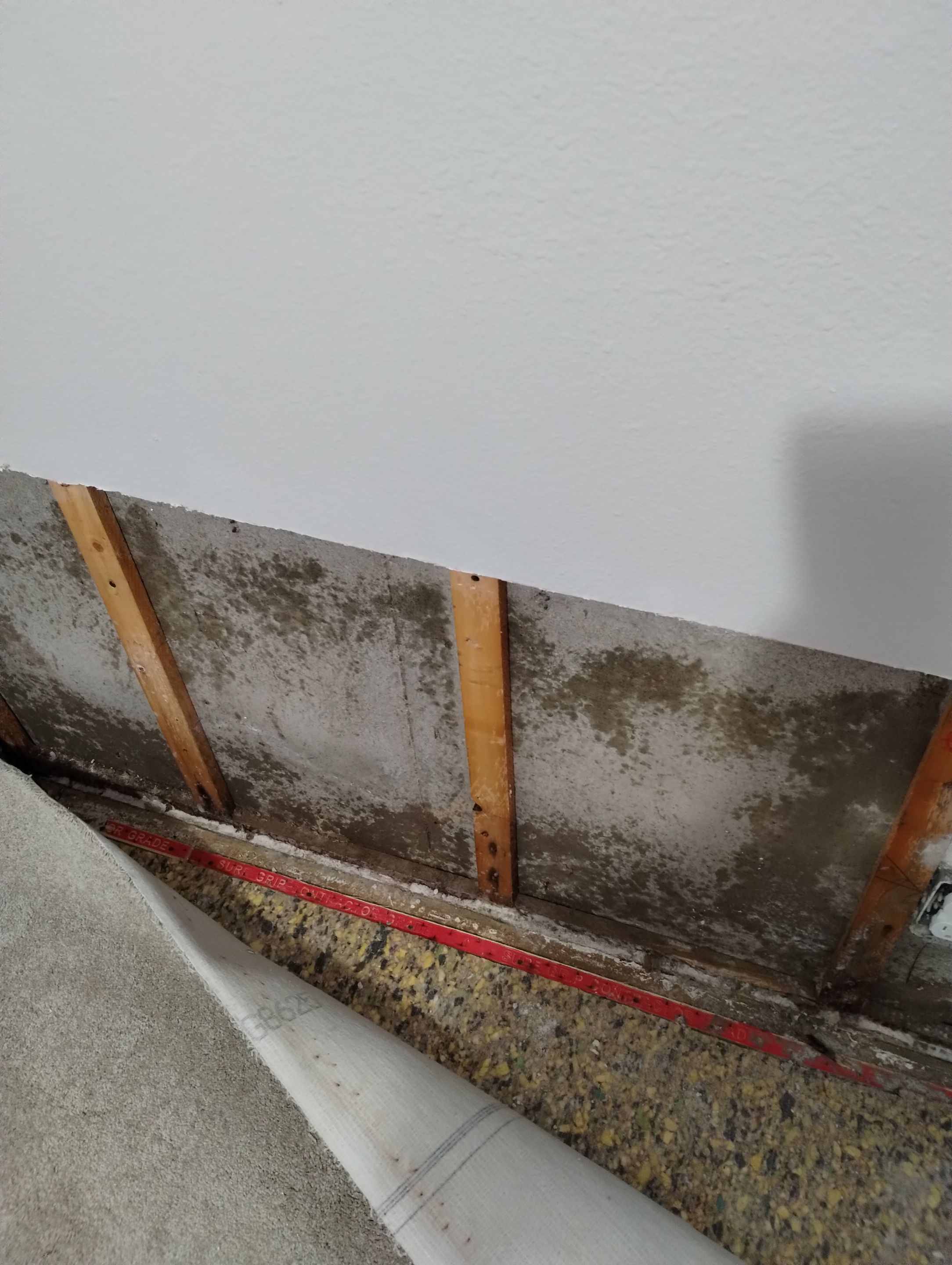 Mold Damage Repairs by Accountable Home Services