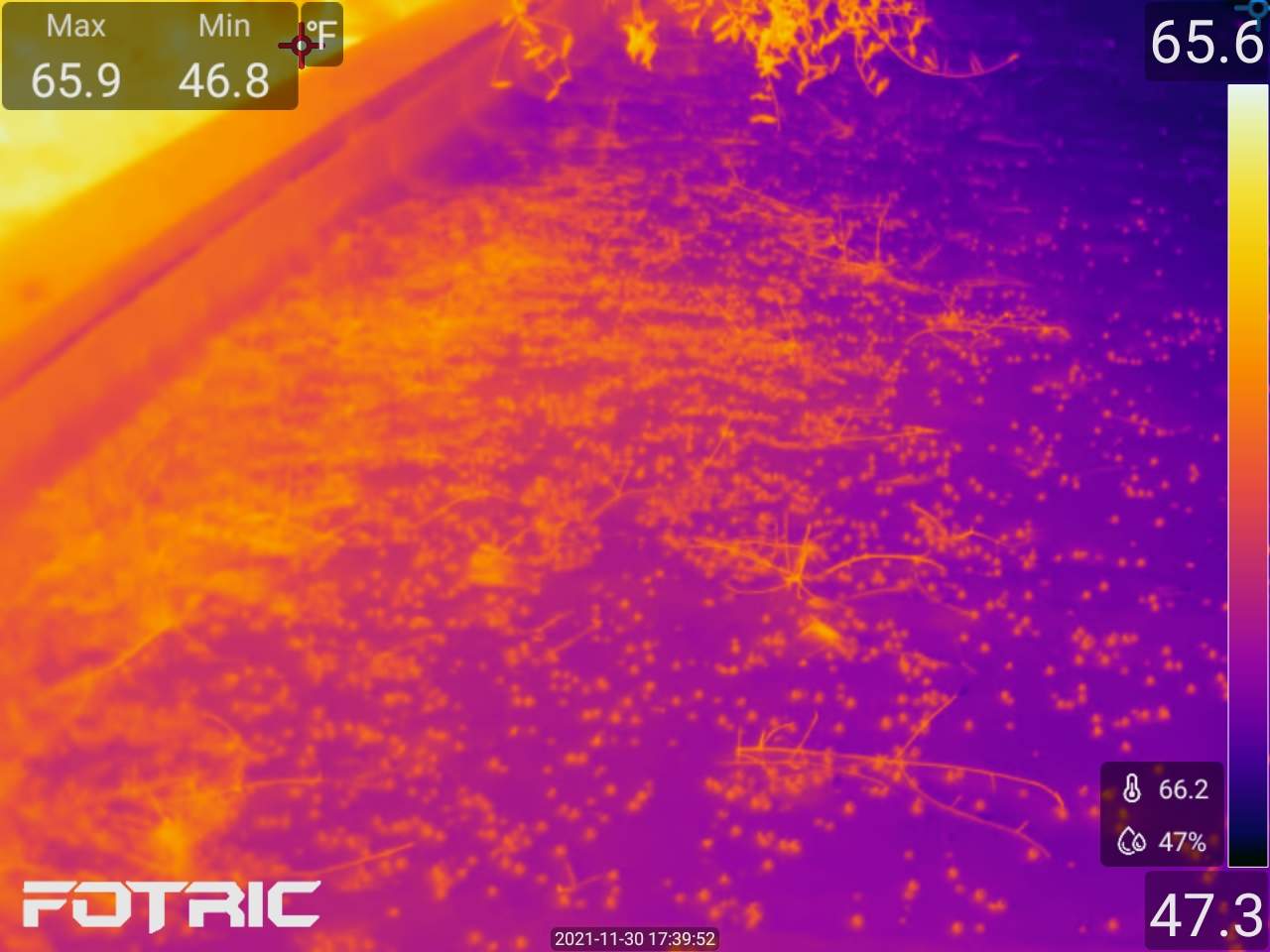 Roof Moisture Survey using Thermal Drone & Thermal Camera by FLORIDA ROOF CONSULTING & INSPECTION SERVICES