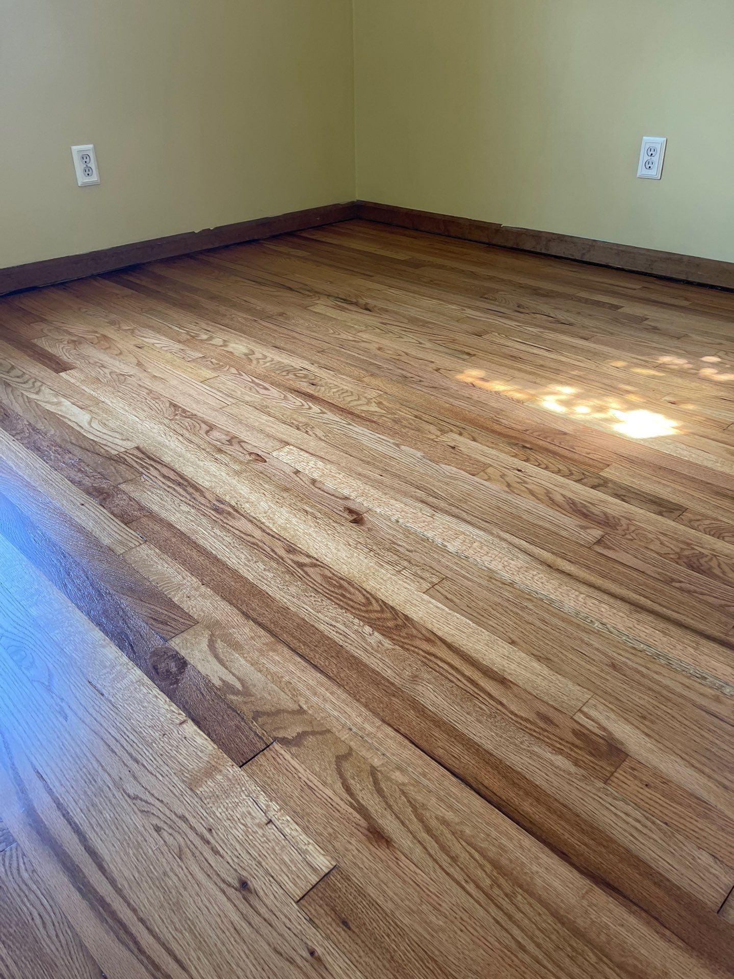 Hardwood flooring sanding using 2 1/4" Red oak flooring Golden Oak Stain by Ann Arbor Hardwoods