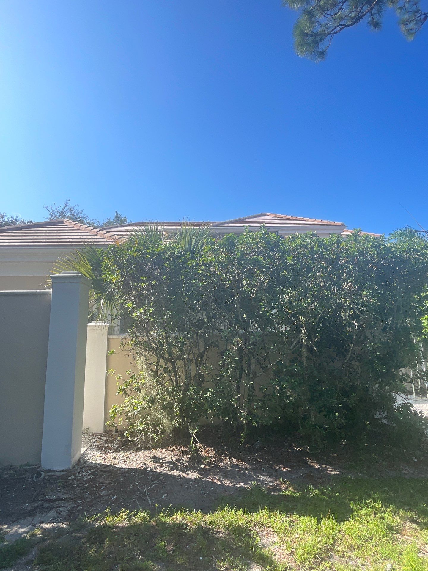 7-Inch Seamless Gutters for Large Roofs in Osprey FL by Gutter Professors