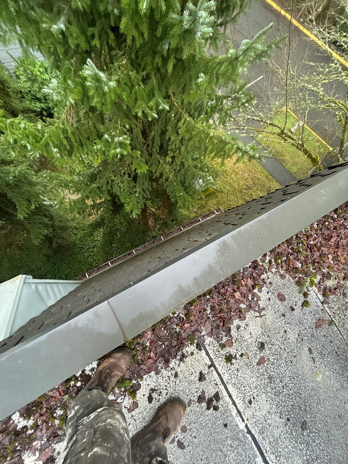 Project in Kirkland by Peaks and Valleys Construction
