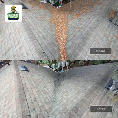 Shingle Roof Cleaning and Roof Debris Removal