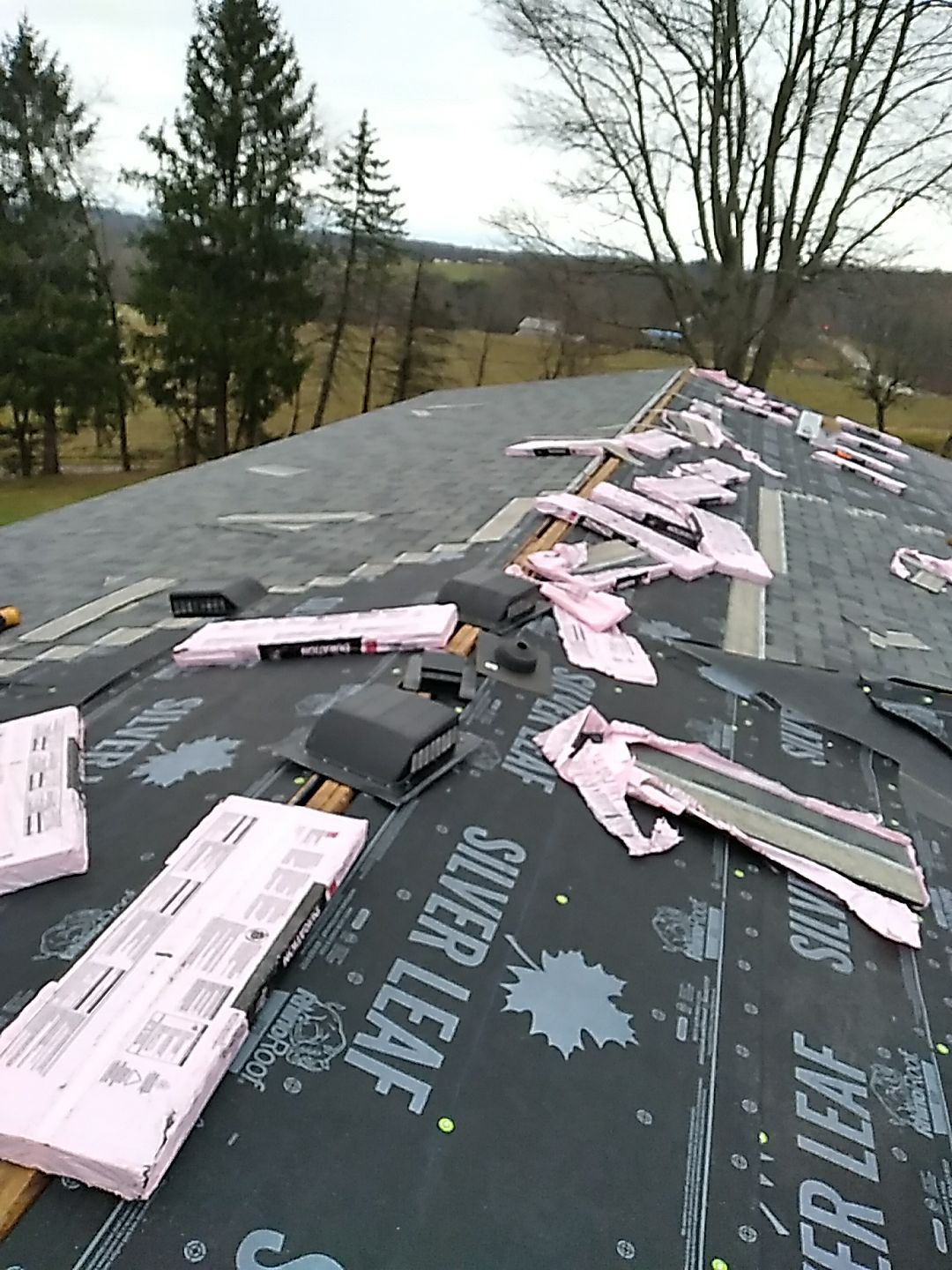 Keith Rohr by Silver Leaf Contracting 