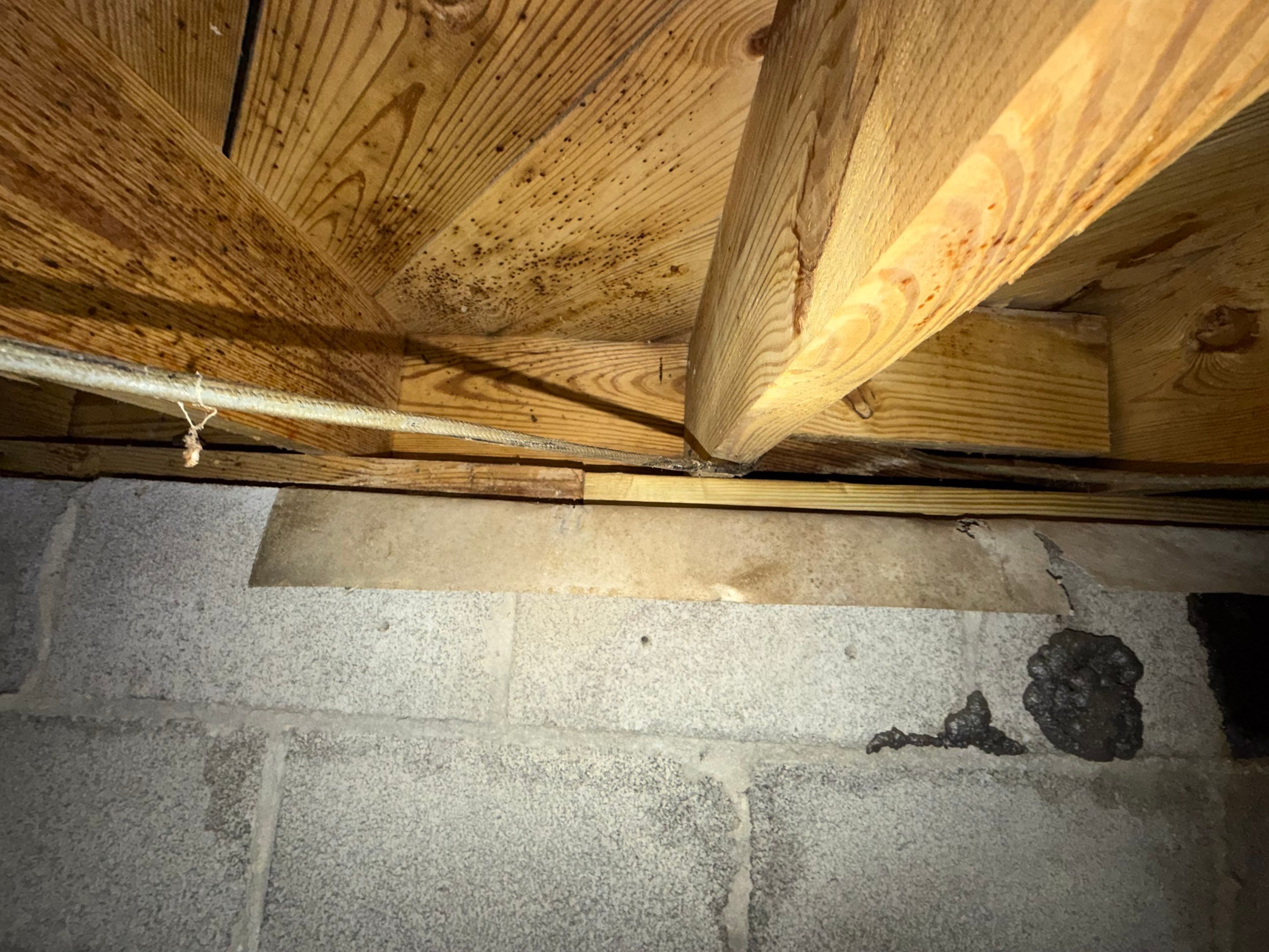 Project in Norfolk by Patriot Crawl Space Repairs