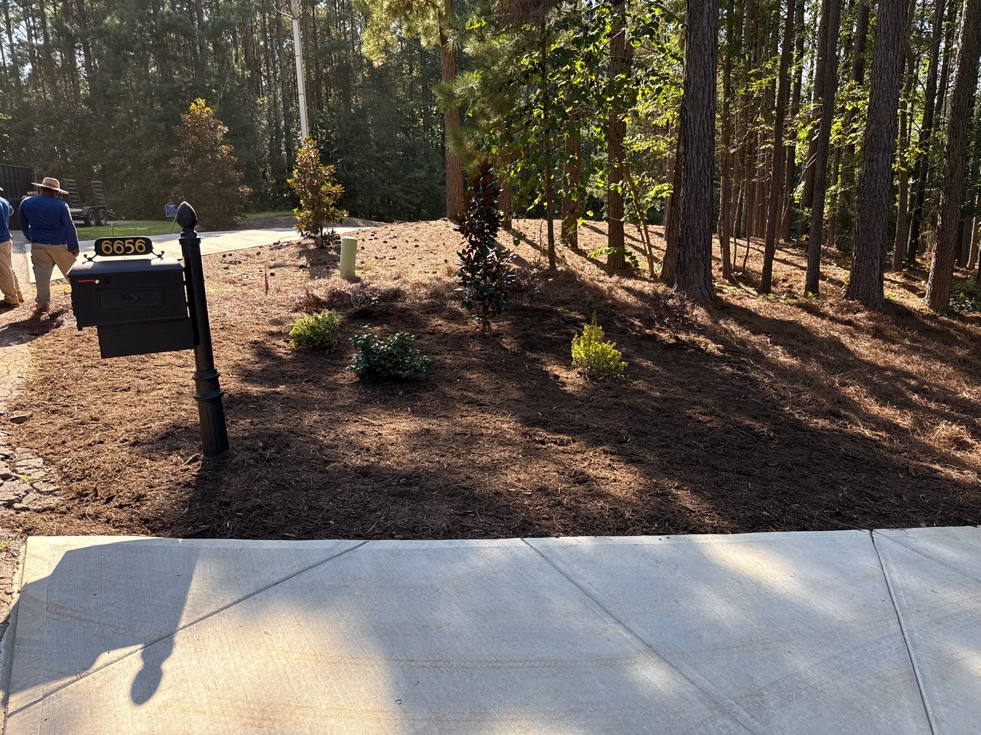 New Construction in Denver by Growing Edge Landscape & Design, Inc.