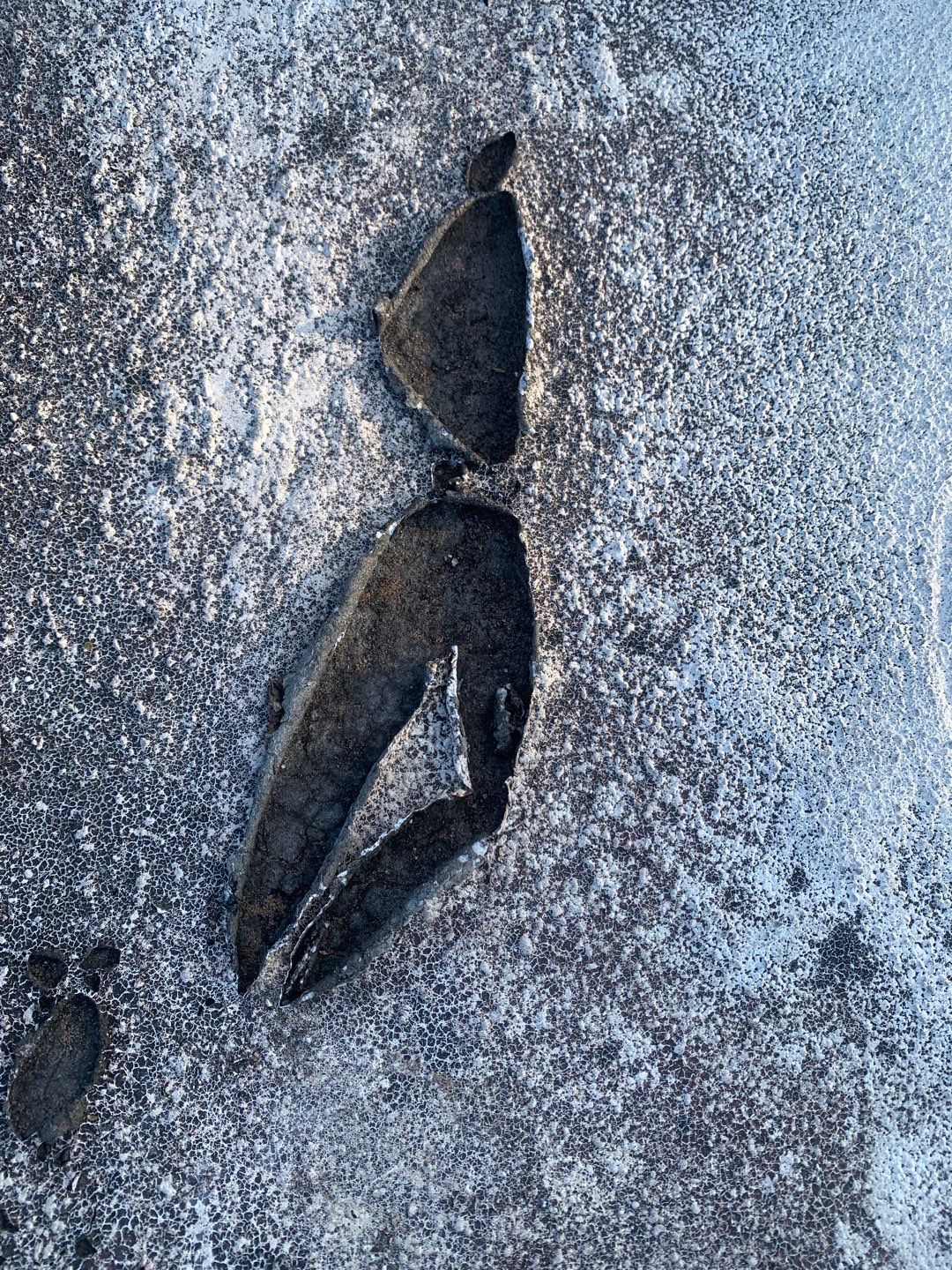 100% Silicone Roof Coating Repair using Tropical #924 Silicone Roof Coating by Morton Roofing, Inc.