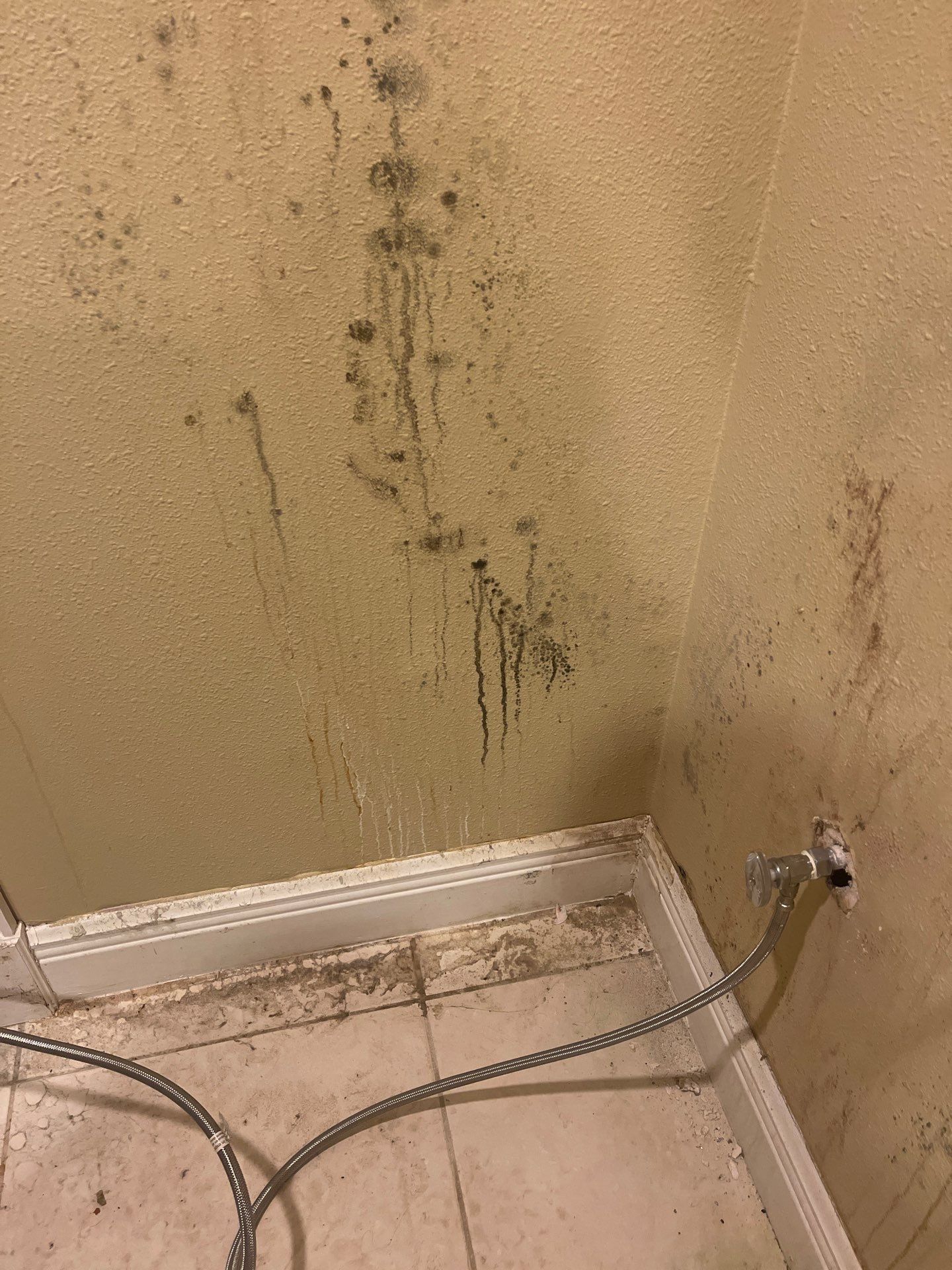 Mold remediation and rebuild of kitchen and living areas by Bay Coast Restoration 
