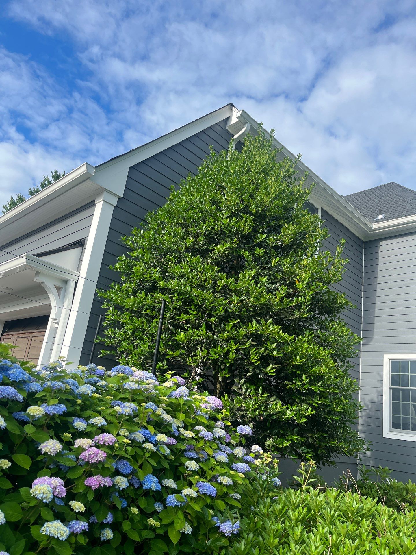 Comprehensive Lawn Care in Warren by Ants Plants
