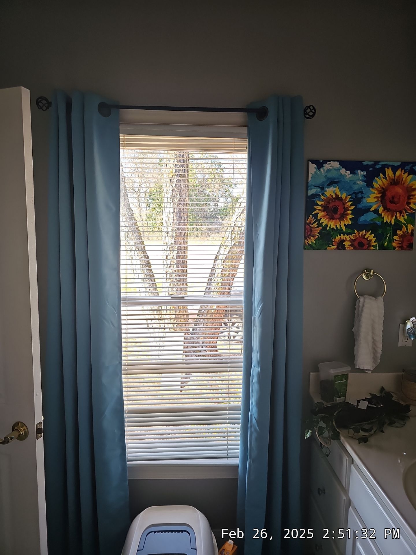 Laird Project in Helena by The Window Source