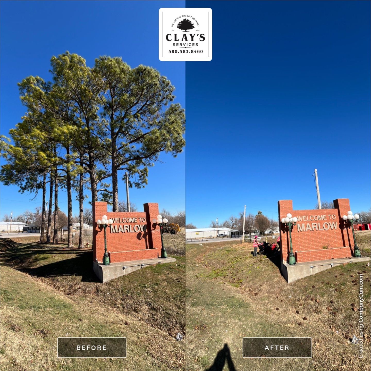 Pine Removals by Clays Services Inc