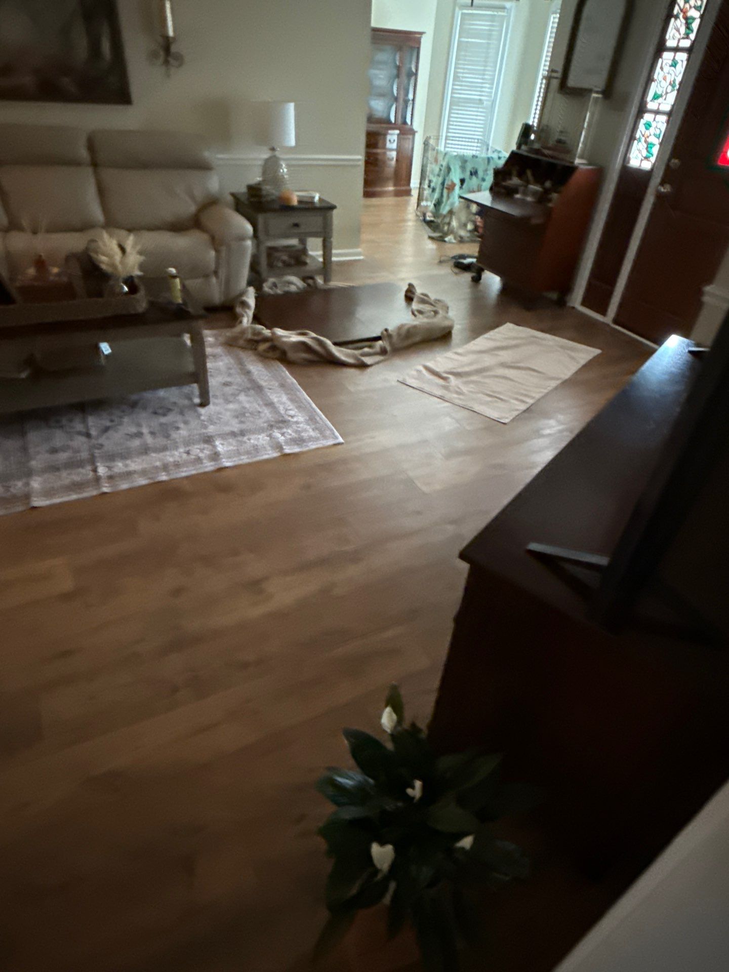 Project in Brighton by Knockout Flooring LLC