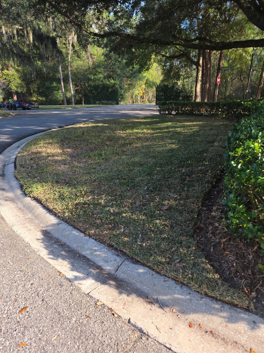 Courtyards of Deerwood | Sodding Work by ProGreen Services