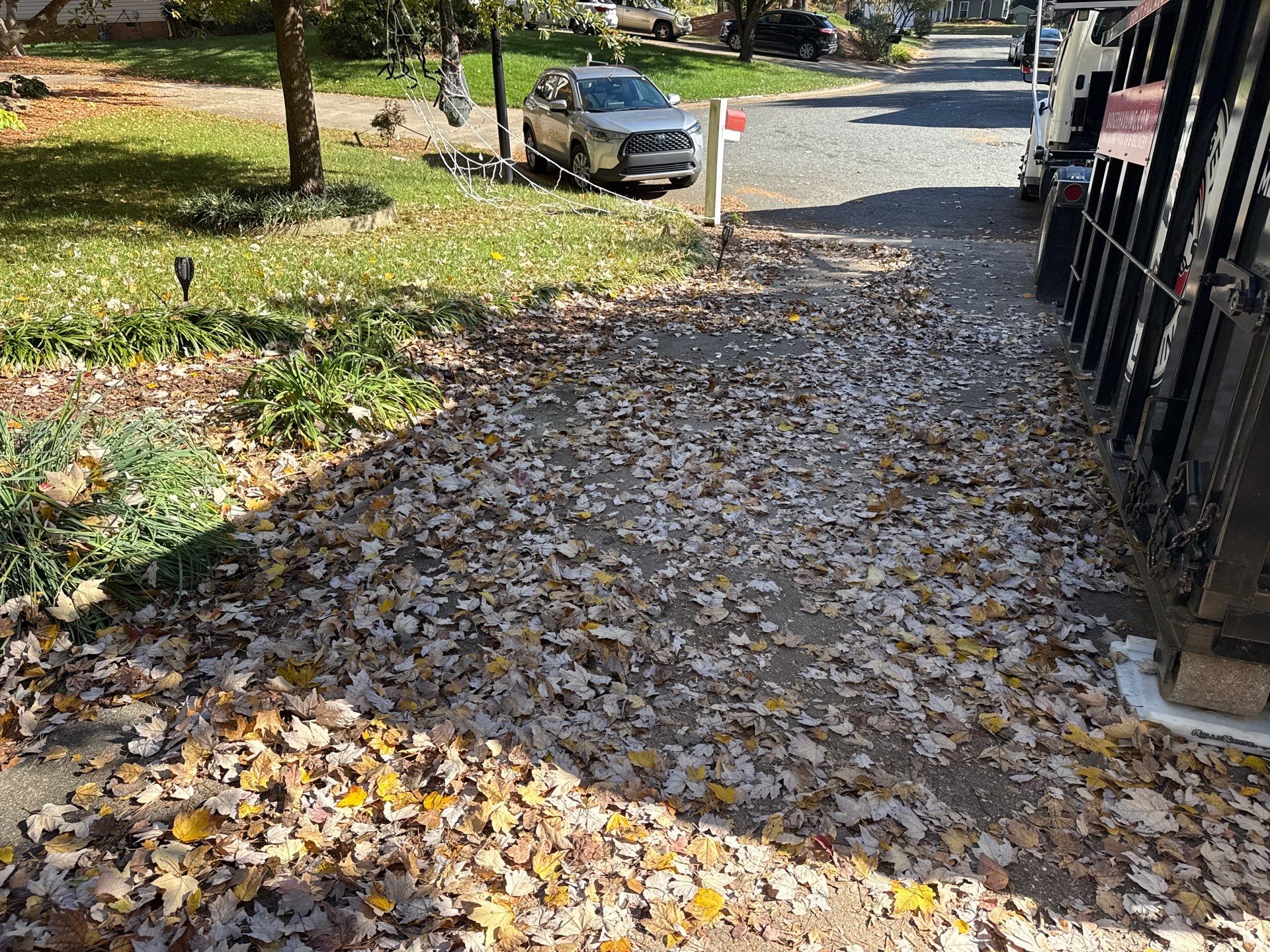 Project in Charlotte by Badger Hauling