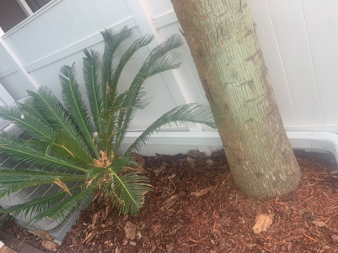 Gutter Cleaning and Inspection in Panama City FL by Gutter Professors