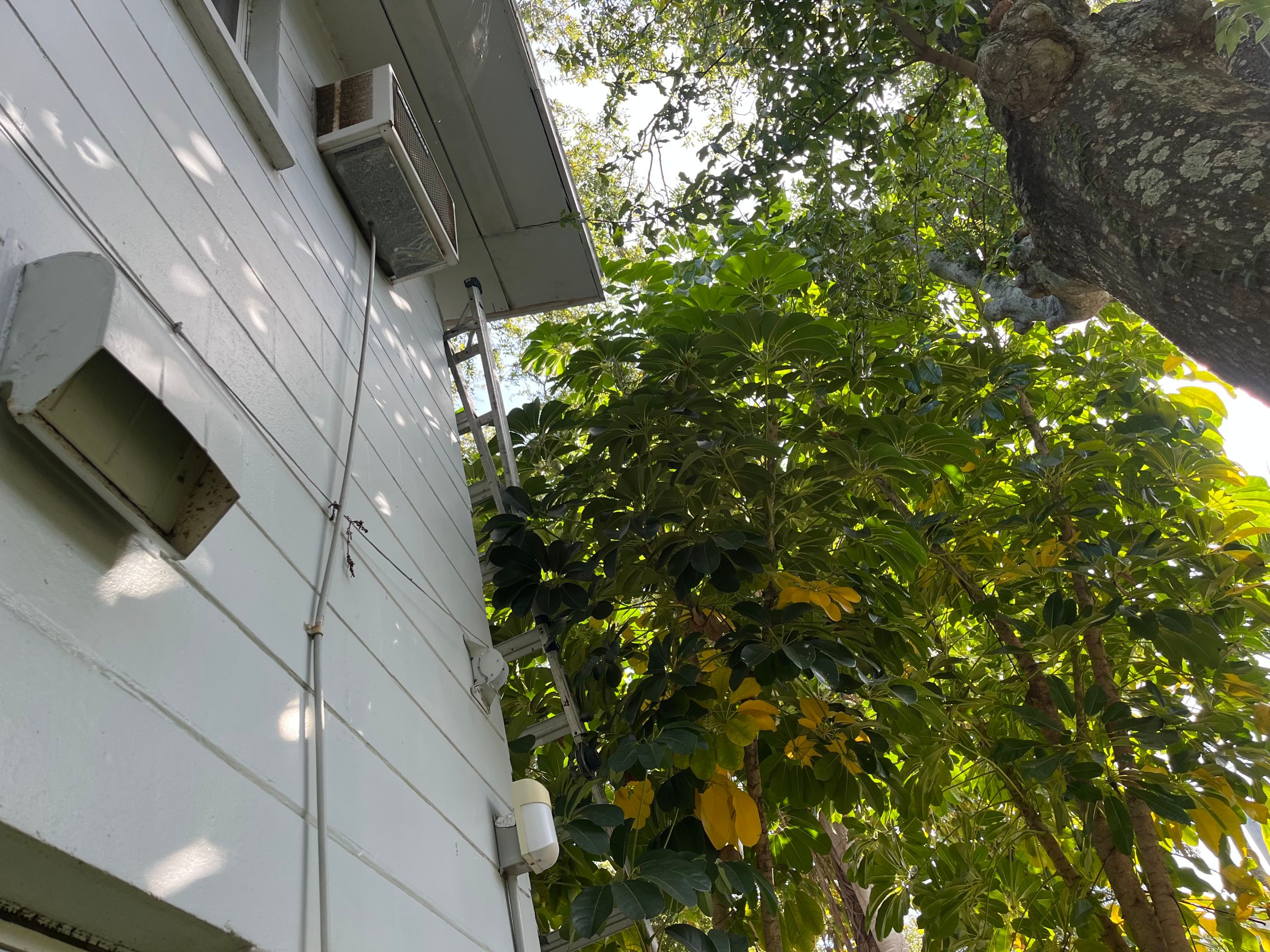 Project in St. Petersburg 33701 by Mitchell Roofing Company LLC