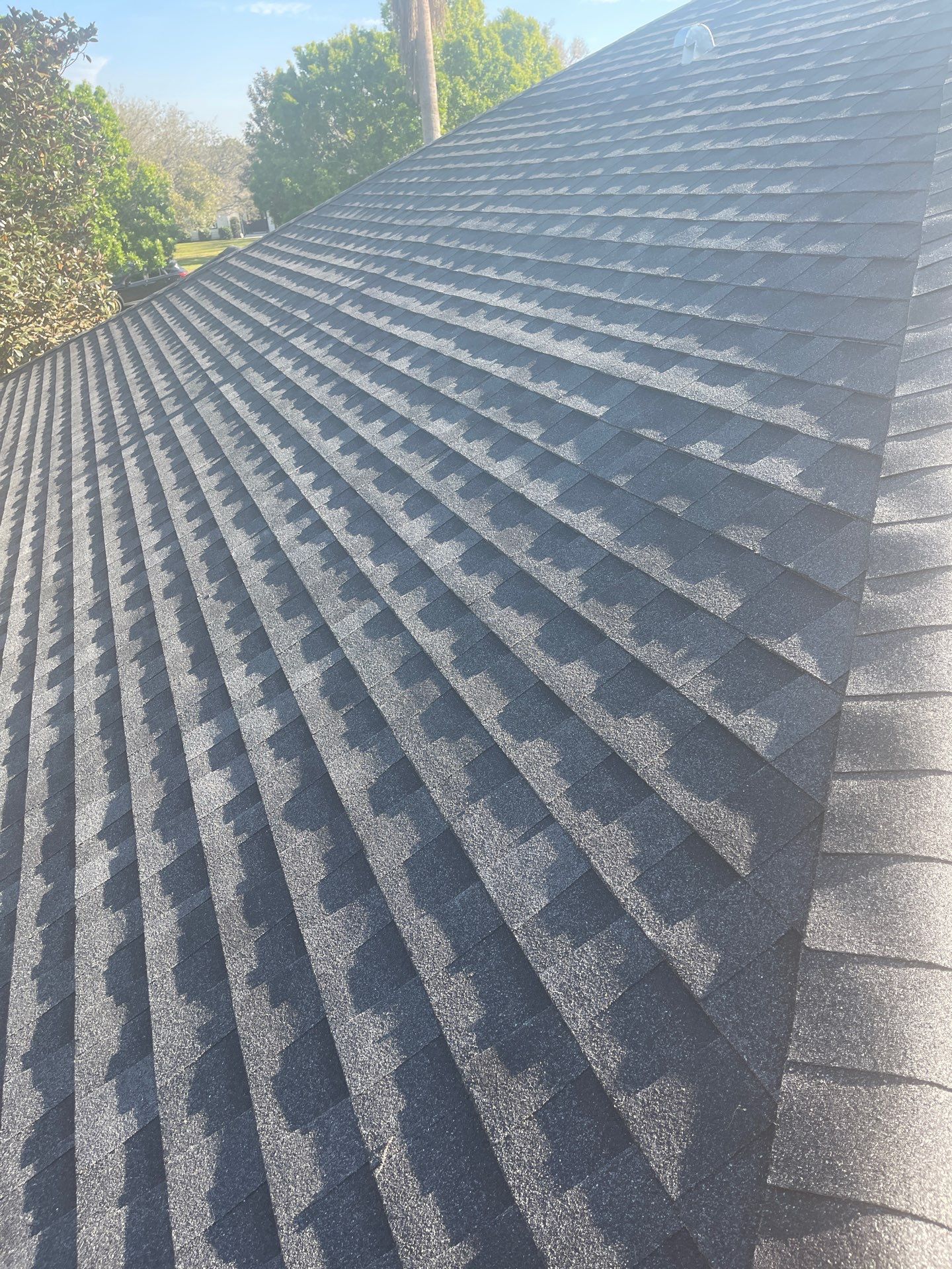 Shingle Reroof Replacement Sorrento FL by Pinnacle Roofing Group