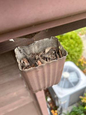 Turtle Shell gutter protection installation in Naperville, IL 60563, photograph 17