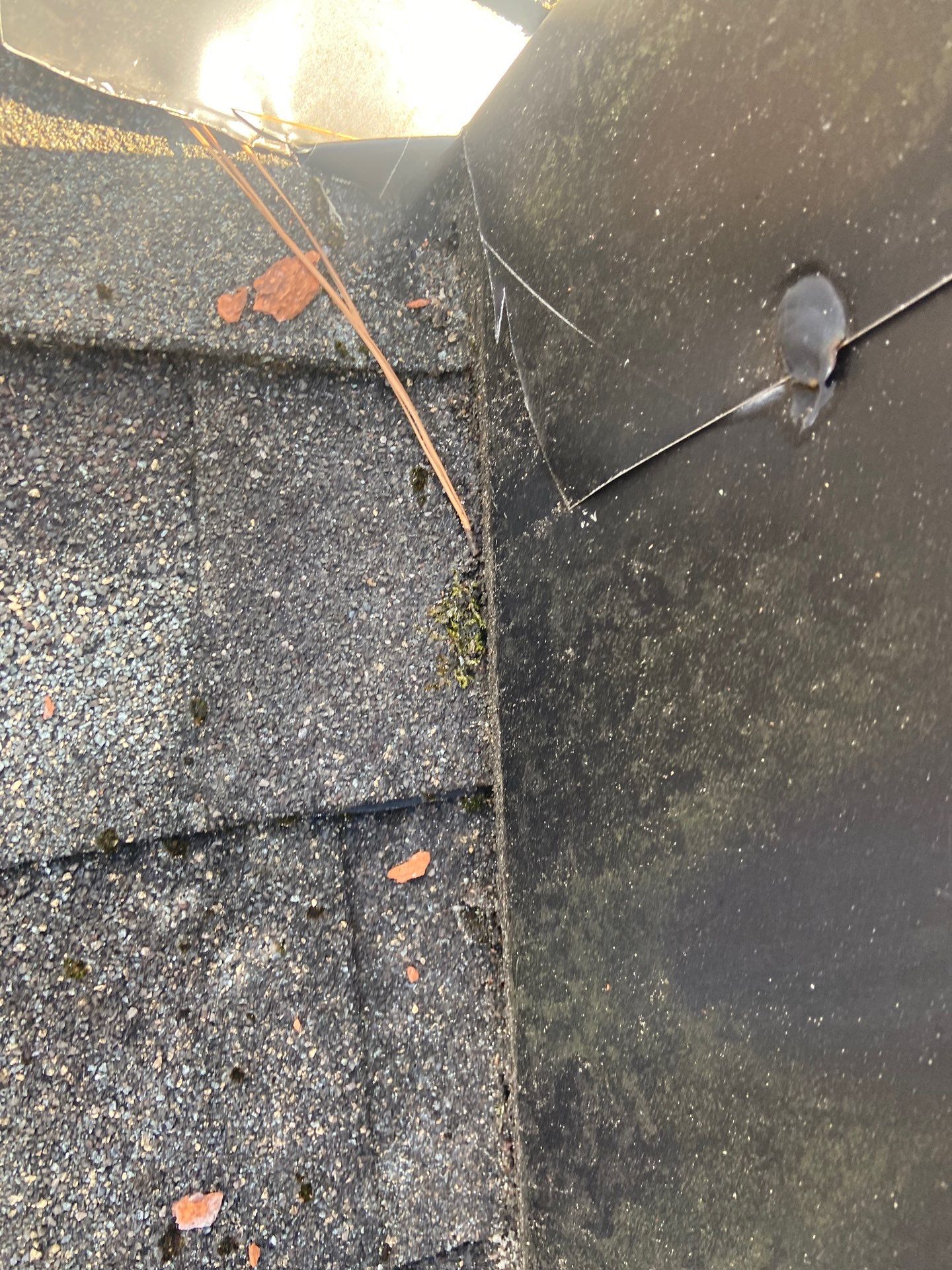 New Roof Install using Tamko Titan- Thunderstorm Gray in Port Republic, MD by Storm Ready Exteriors