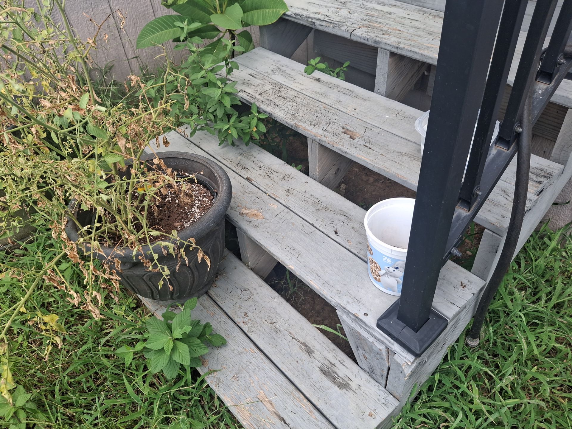 Ben Wheeler, TX Deck Staining & Wood Restoration by Quality Coats Painting