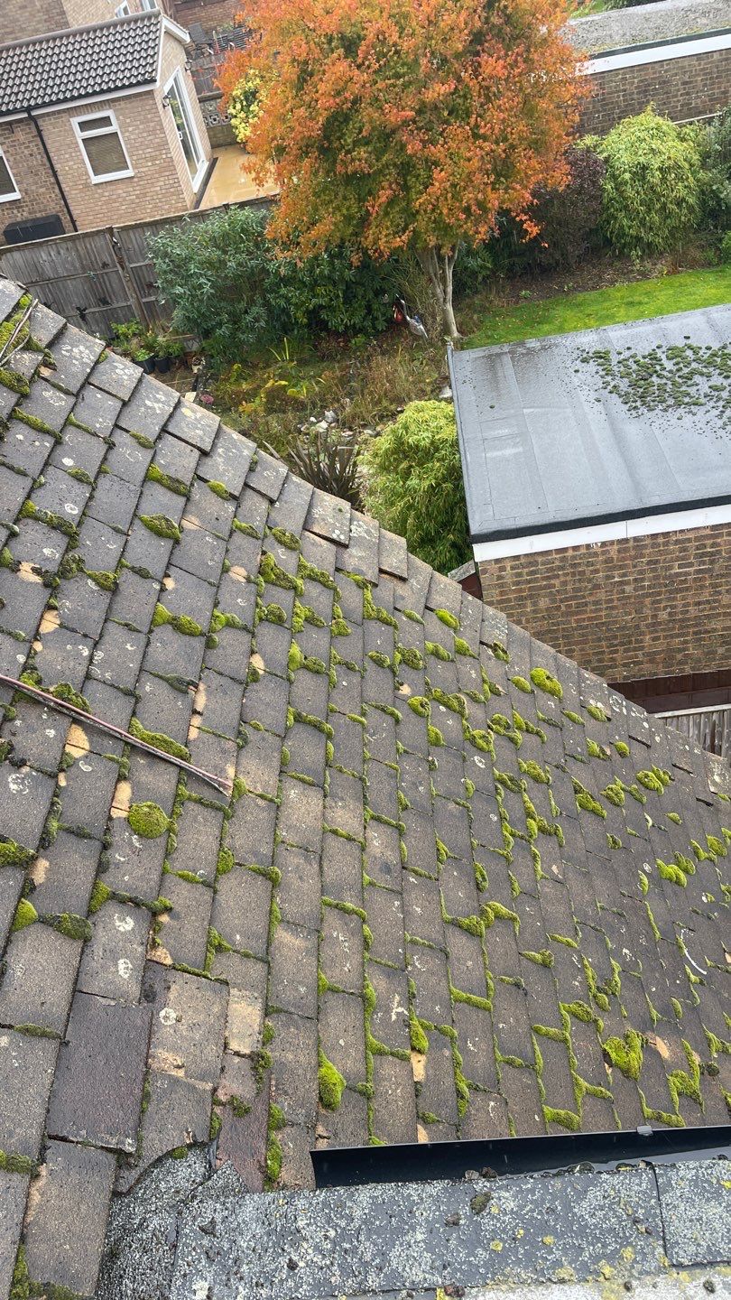 Roof Clean - Biocide Treatment using Honda 15lpm Low Pressure Washing Machine by Ges Exterior Cleaning ltd