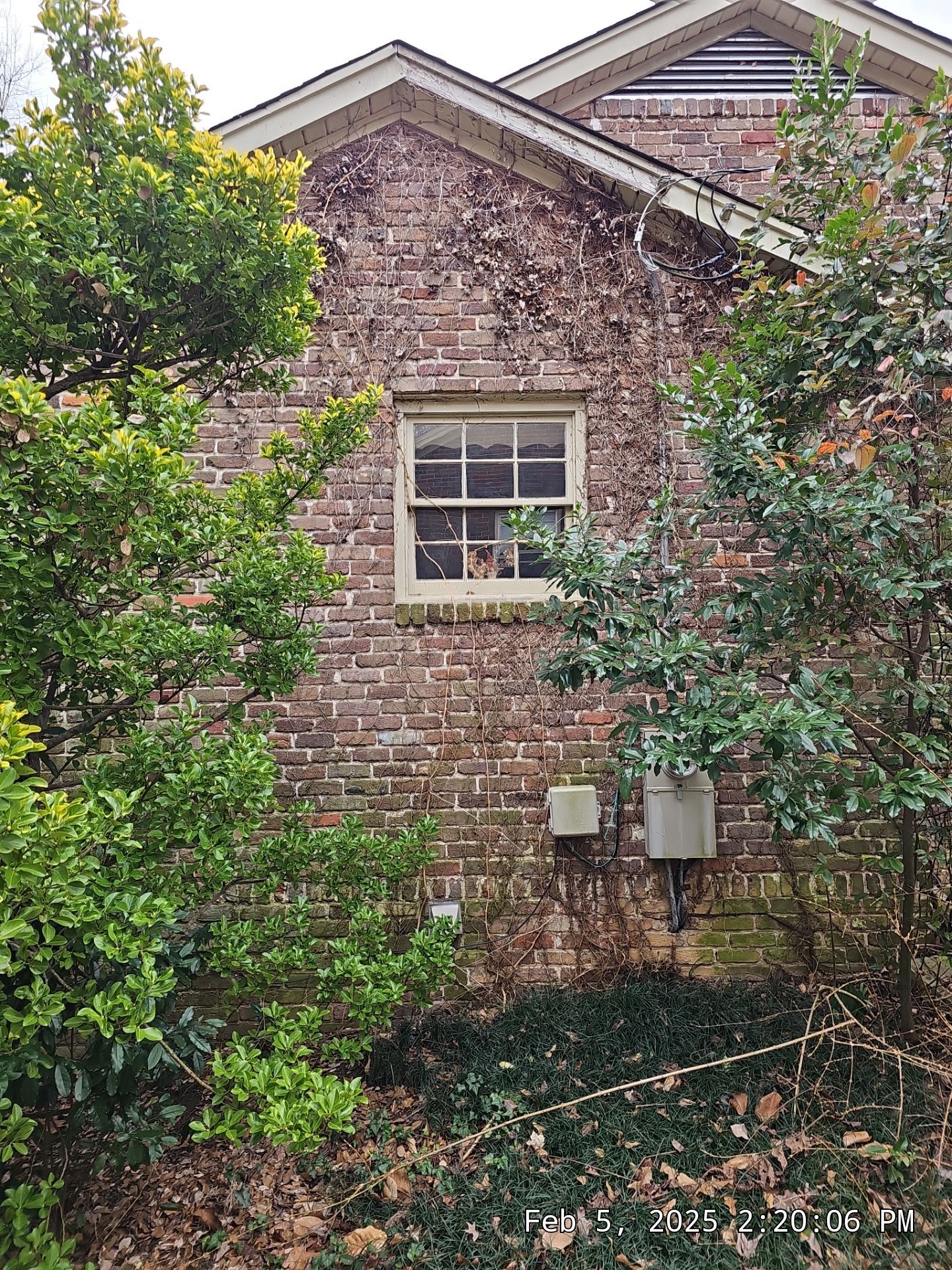 Crawford Project in Birmingham by The Window Source