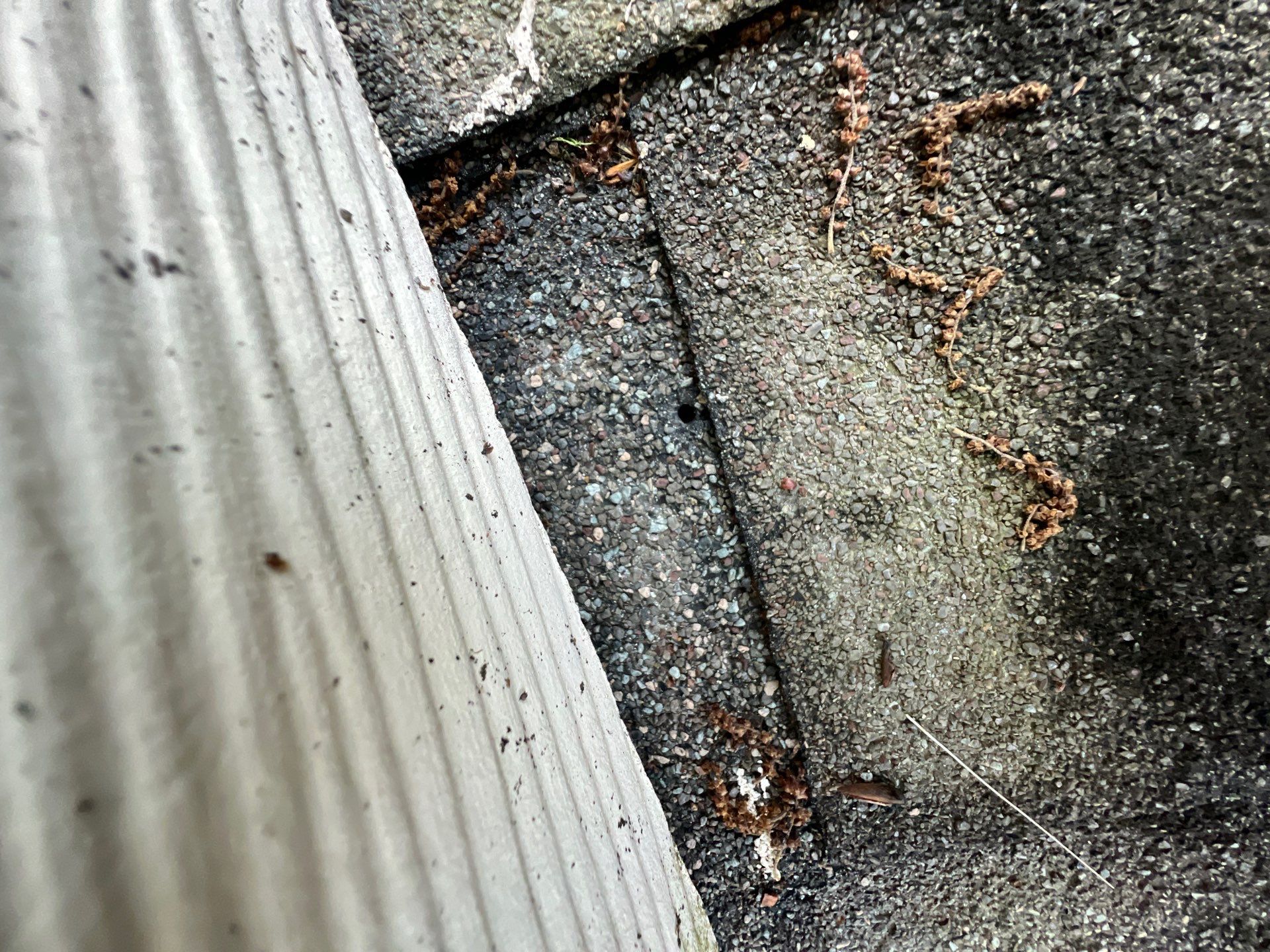 Roof Repair Sugarland by Roof Repair Services LLC