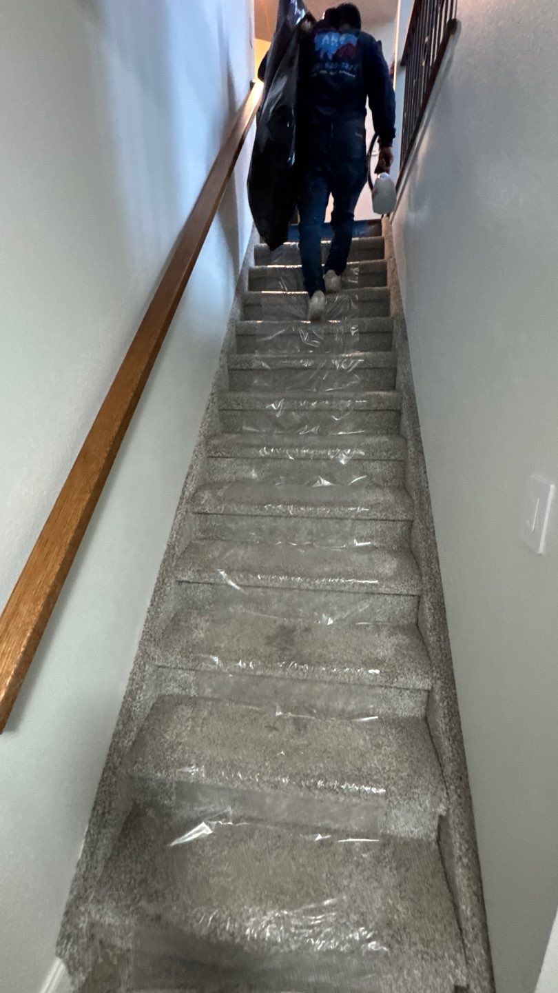 Mold Project in Thornton by Accountable Home Services