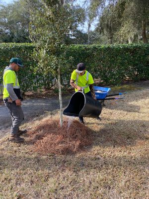 Deerwood Resident | Tree Install