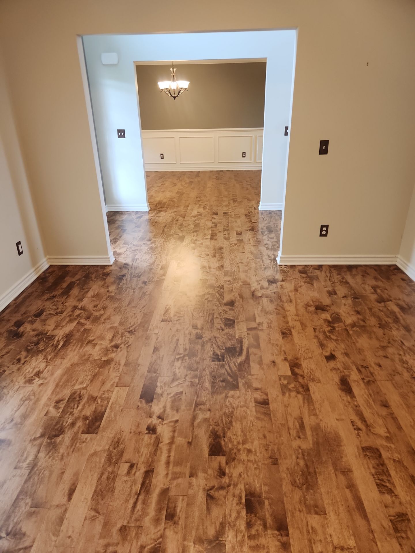 Stained Maple  by Ann Arbor Hardwoods 