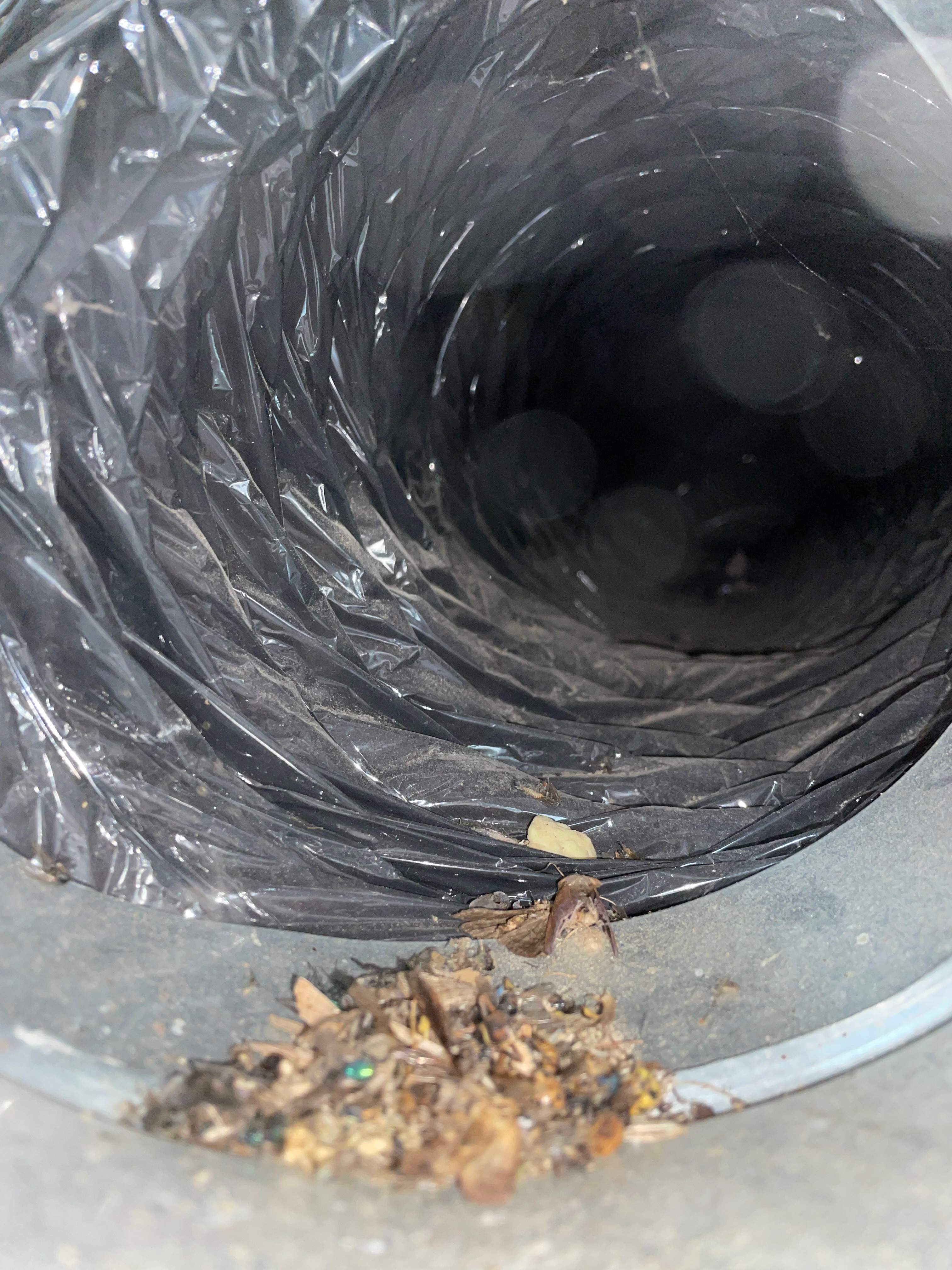 Duct Cleaning using Rotobrush Beast by Fox Hill Luxury Real Estate Services