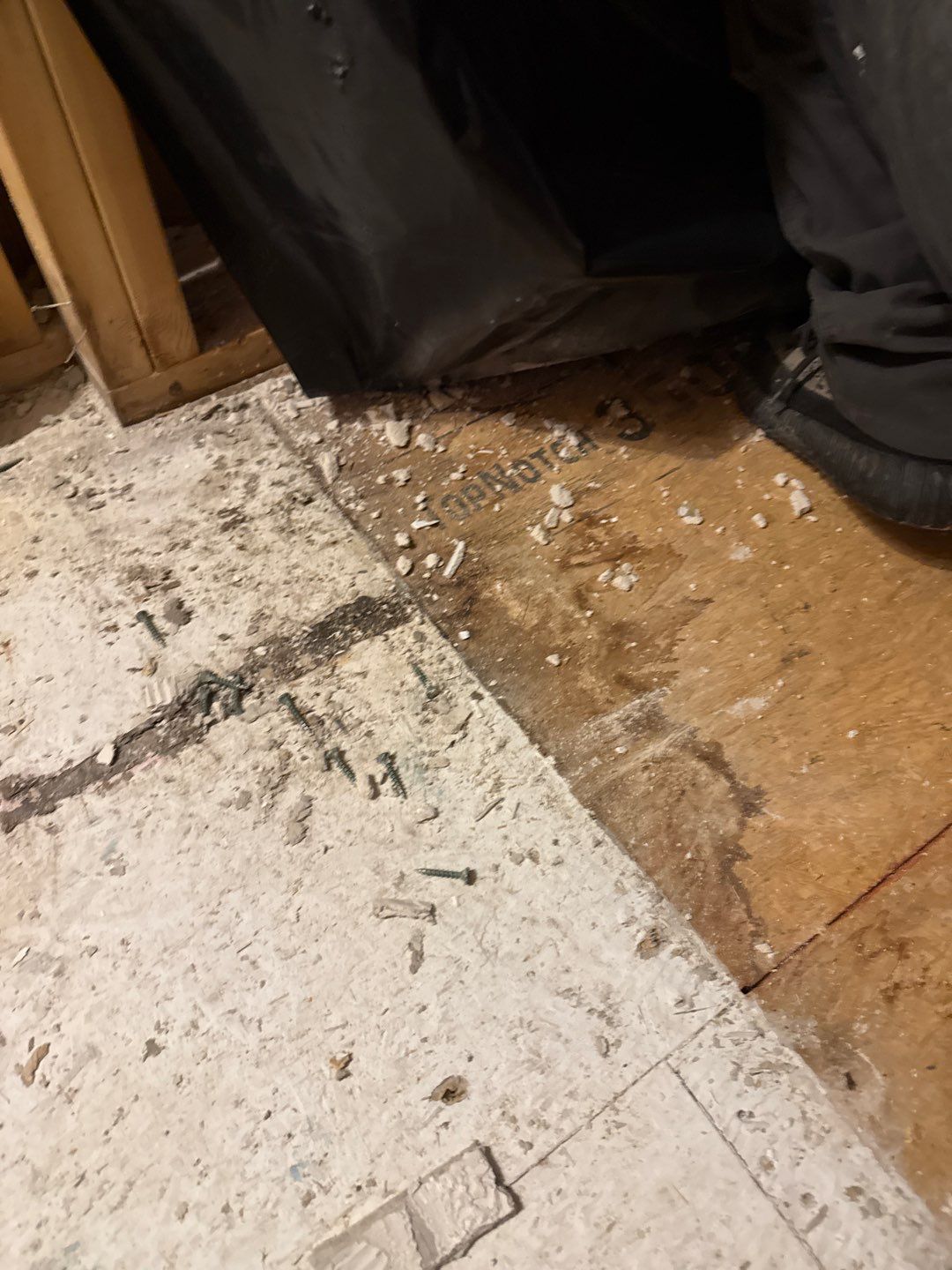 Bathroom and Crawlspace Water Damage and Mold by Healthy Home Solutions