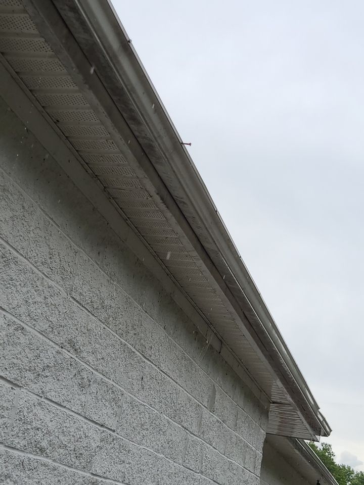 Franklin Eagles by Constructive Project Management