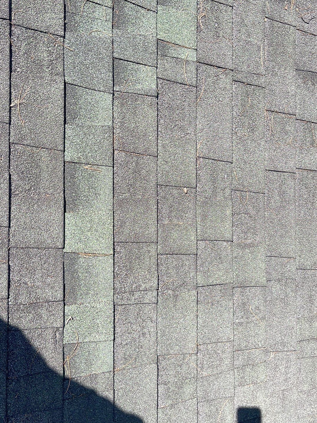  "Leak-Free Living: Expert Shingle Repairs for Lasting Protection!"  by Sensible Home Solutions