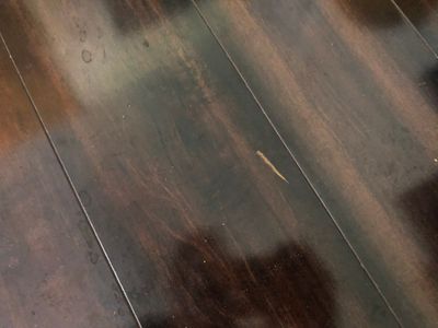 Project in Colorado Springs