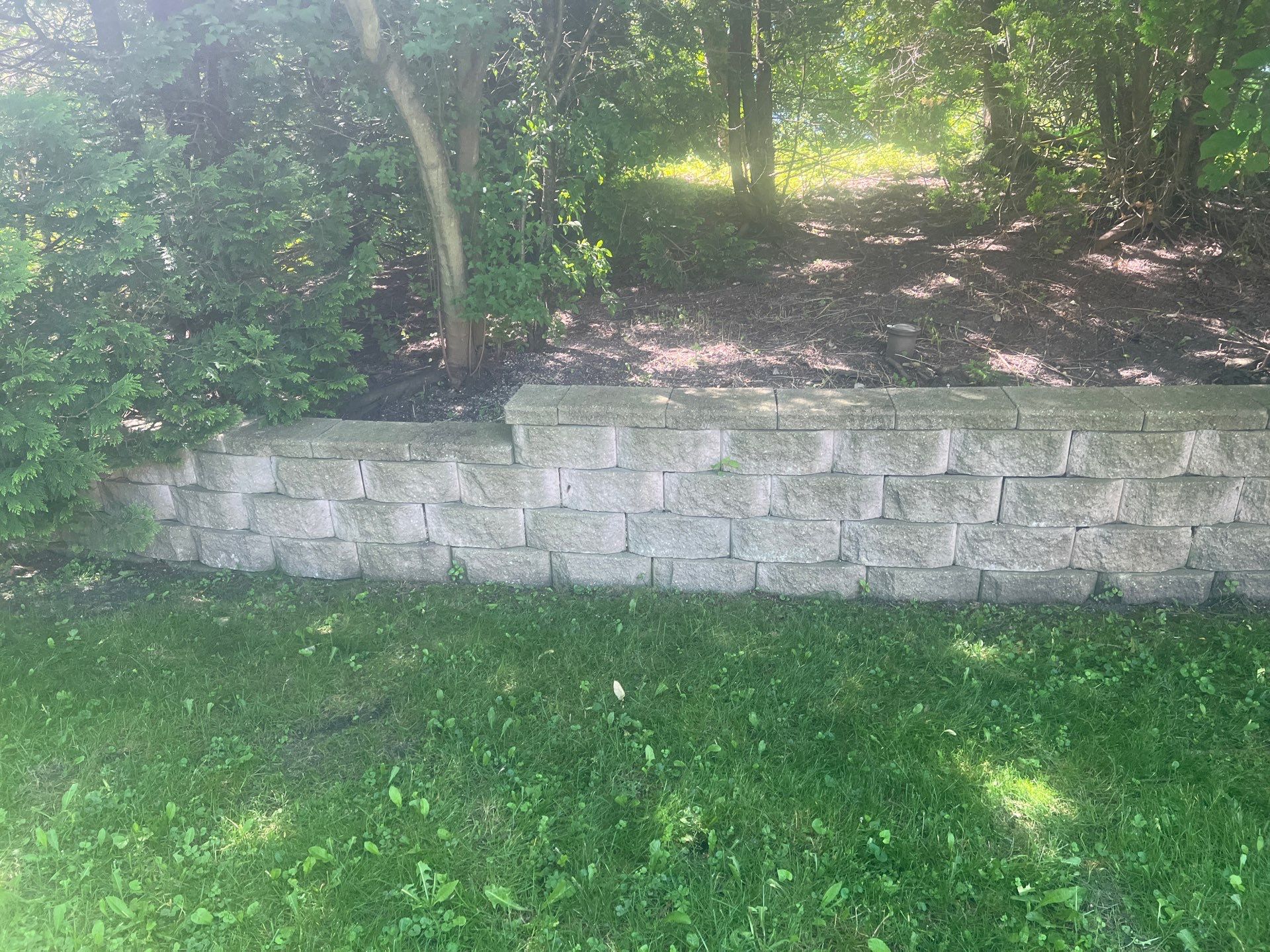 concrete cleaning using Algaecide, soft wash soap by Northern Power Washing LLC.