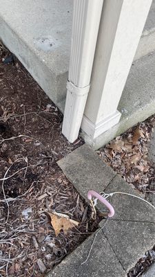 Turtle Shell gutter protection installation in Wheaton, IL 60189, photograph 3