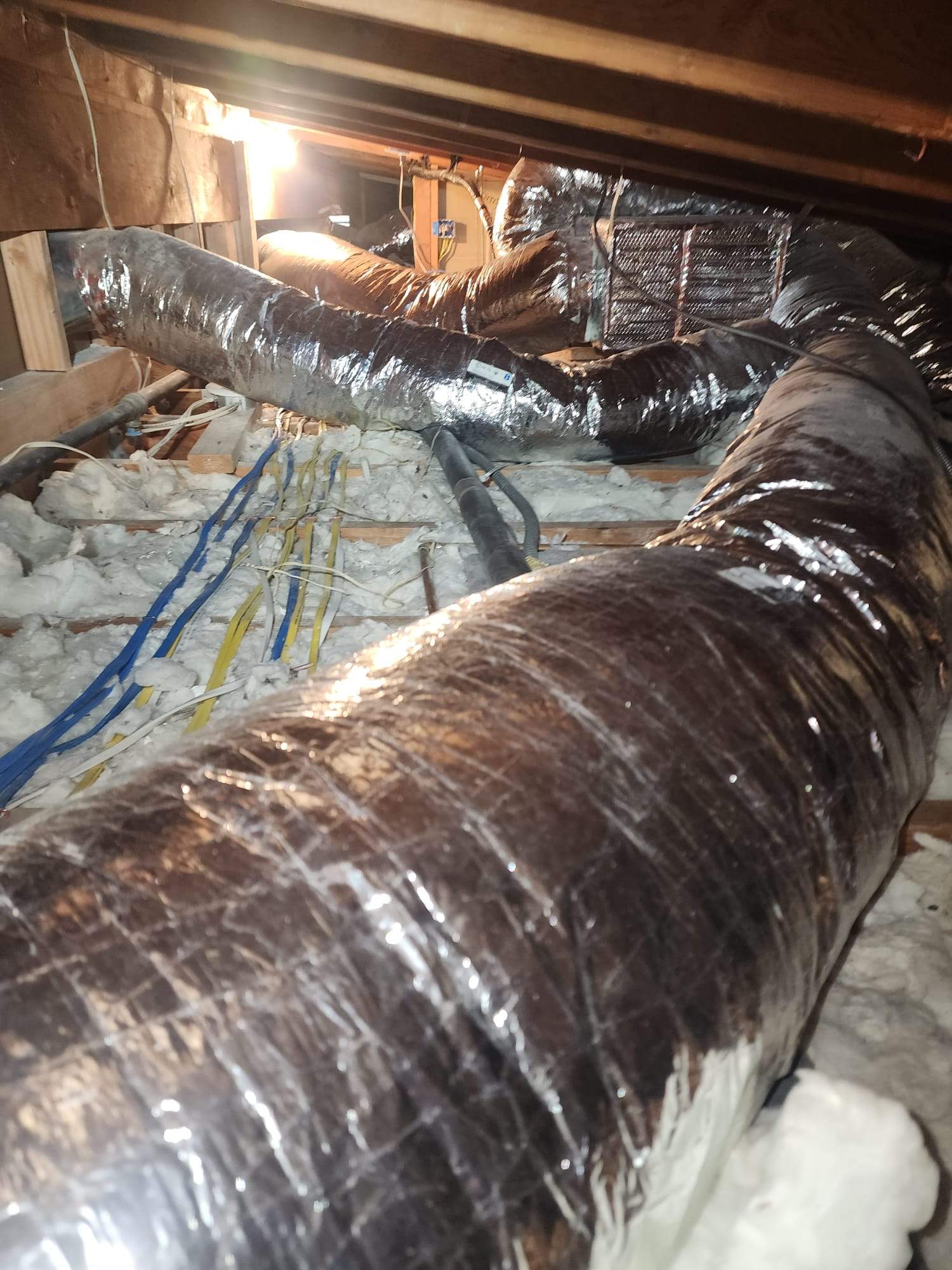 Project in Los Angeles by Advanced Attic Solutions