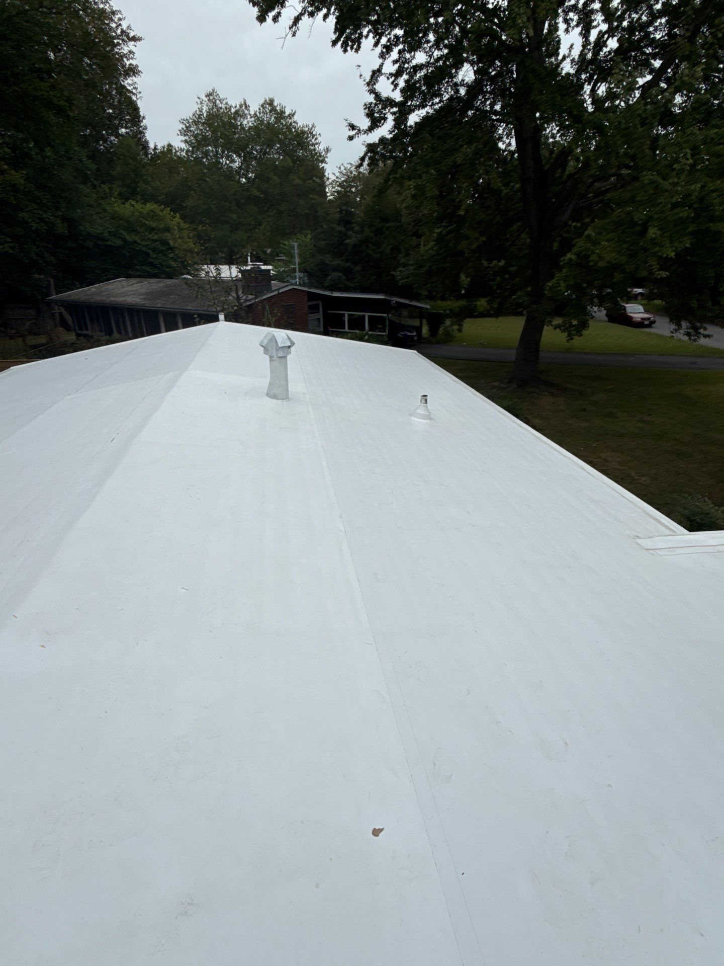 Falls Church :  TPO by RM Banning, Inc.