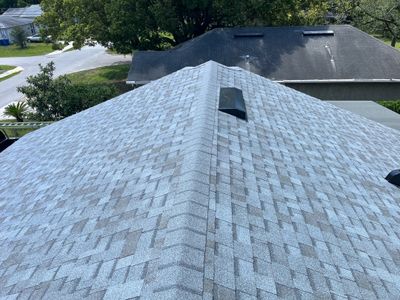 Shingle -> Shingle