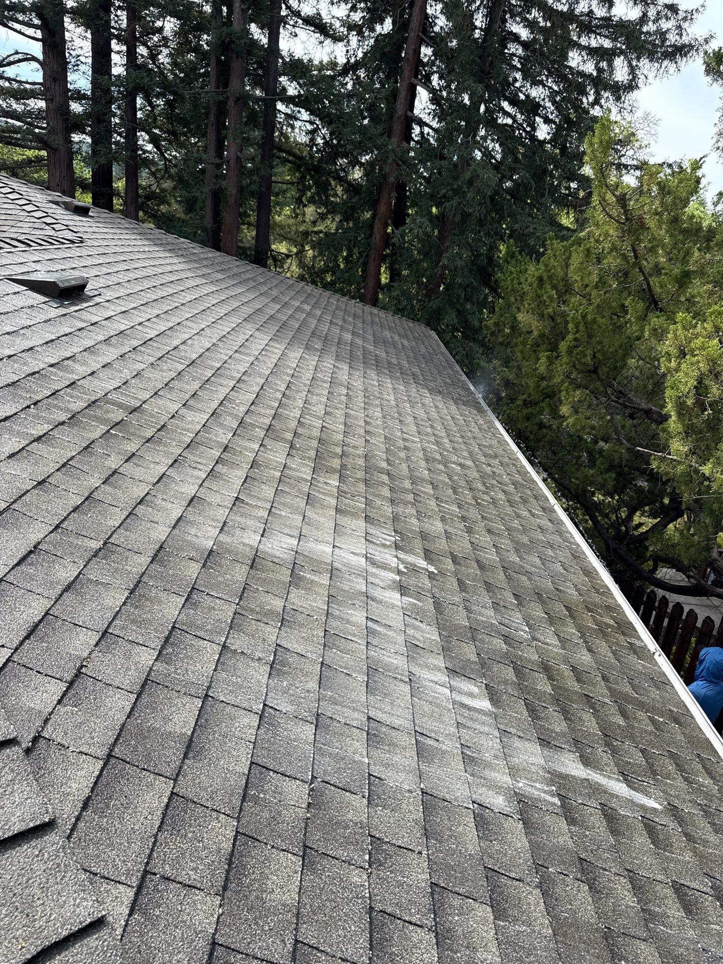 Soft Wash by Top Elevation