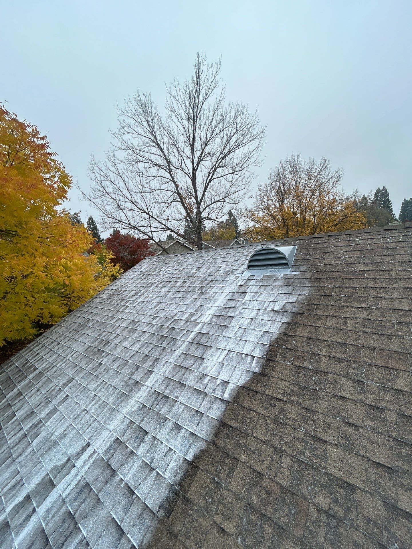 Roof Rejuvenation using Roof Maxx Treatment by Roof Maxx of Folsom